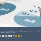 Incentivizing Business and Young Families to Put Down Roots in NL – NLEC Submission to NL Tax Review